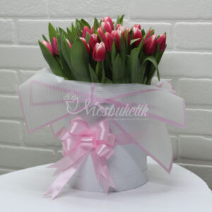 51 розовых тюльпанов в коробке