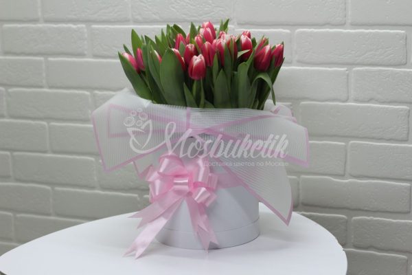 51 розовых тюльпанов в коробке
