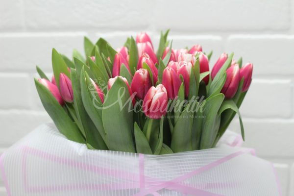 51 розовых тюльпанов в коробке — изображение 2
