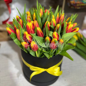 51 тюльпанов огонь в коробке