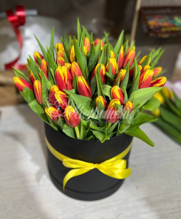 51 тюльпанов огонь в коробке