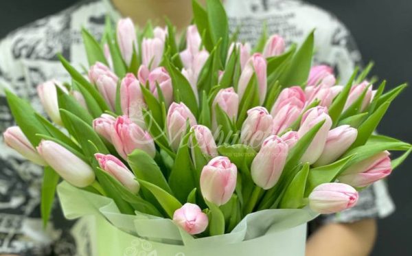 45 розовых тюльпанов в коробке — изображение 2