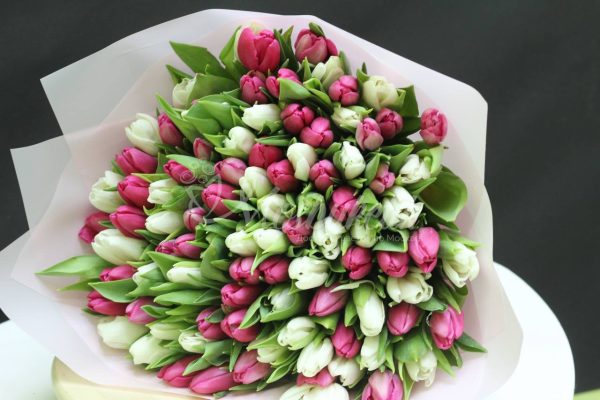 Букет из 101 белых и розовых тюльпанов — изображение 8