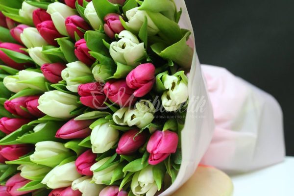 Букет из 101 белых и розовых тюльпанов — изображение 6