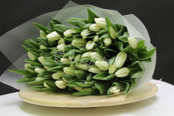 Букет из 51 белых тюльпанов в матовой плёнке — изображение 7