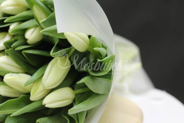 Букет из 51 белых тюльпанов в матовой плёнке — изображение 6