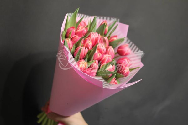 Букет из 25 пионовидных тюльпанов Колумбус — изображение 5