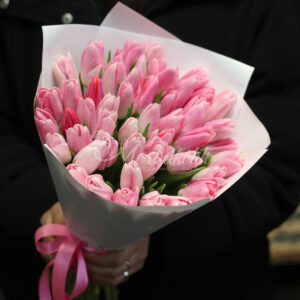 Букет из 51 нежных тюльпанов