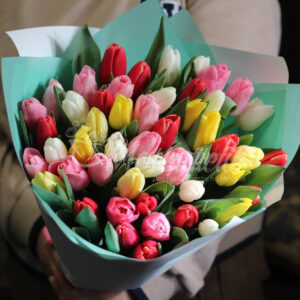 Букет из 51 супер микс тюльпанов