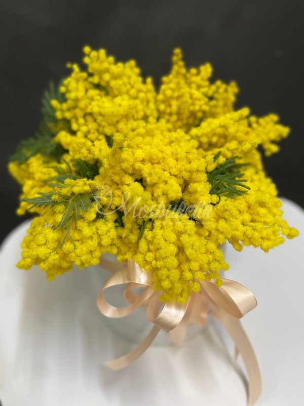 Прекрасная мимоза в коробке — изображение 3