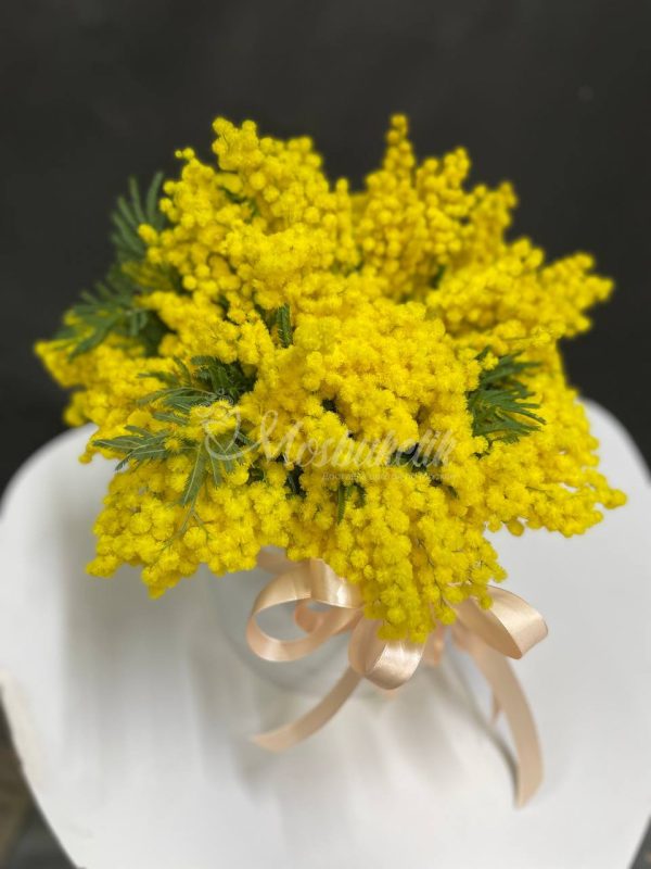 Прекрасная мимоза в коробке — изображение 2