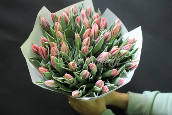Букет из 49 розовых тюльпанов — изображение 10