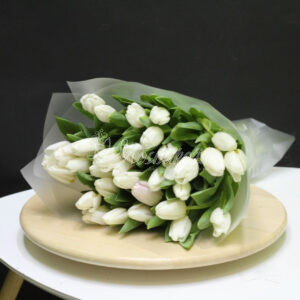 Букет из 51 тюльпанов