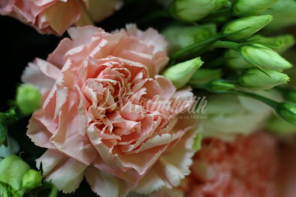 Авторский букет из гвоздики