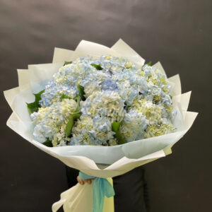 Букет из 15шт гортензий