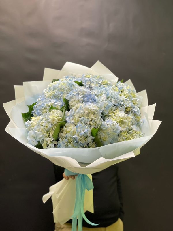 Букет из 15шт гортензий