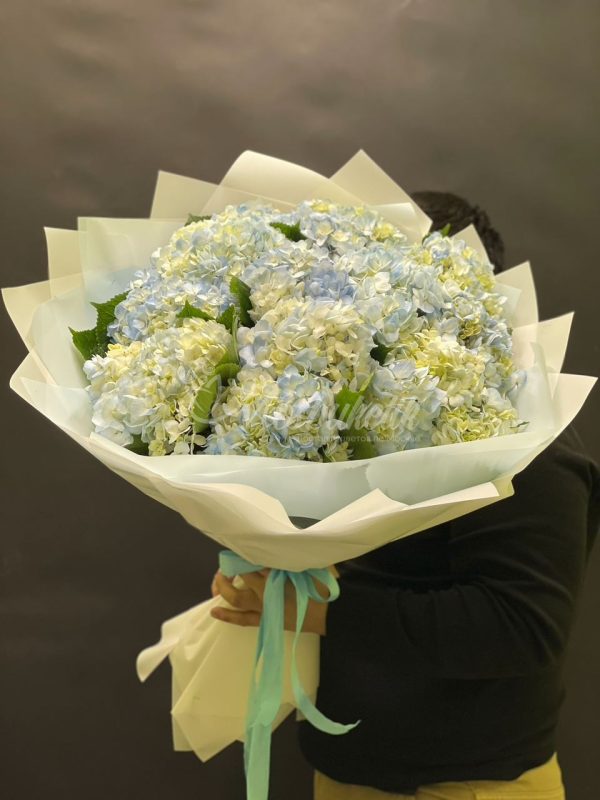Букет из 15шт гортензий