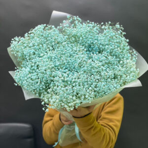 Букет из 25шт голубых гипсофил