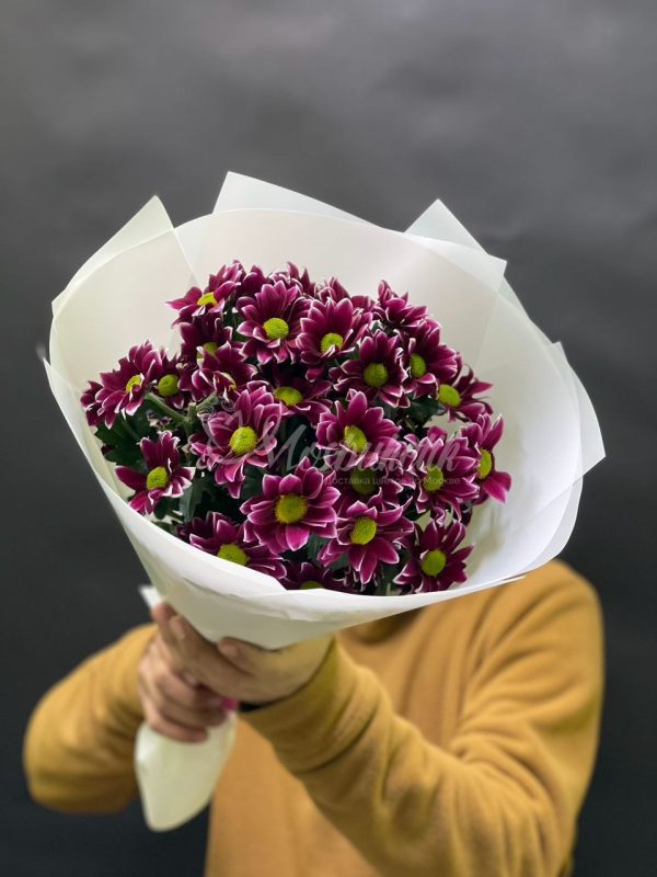 Букет из 5шт кустовых хризантем