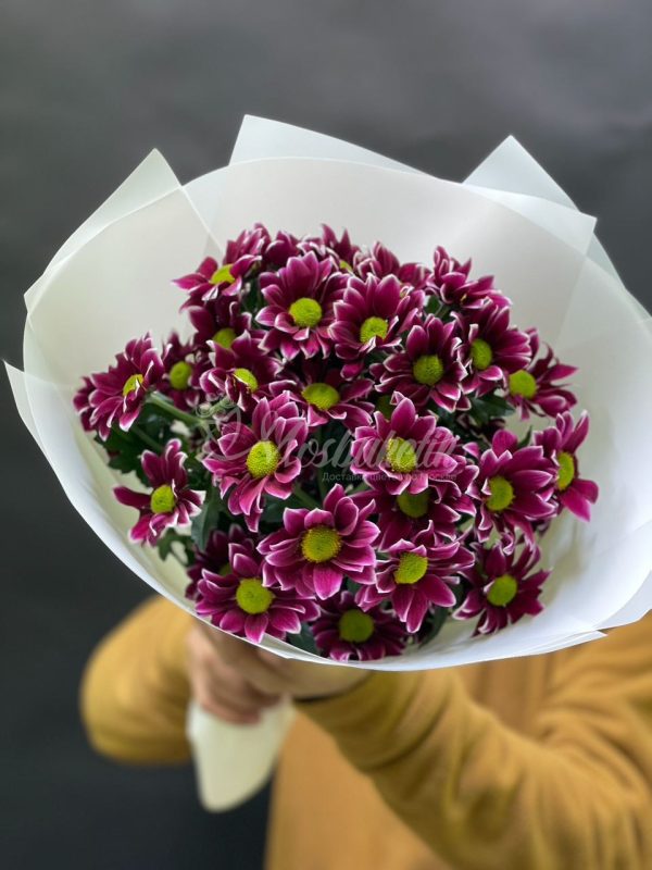 Букет из 5шт кустовых хризантем