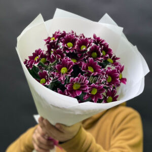Букет из 5шт кустовых хризантем