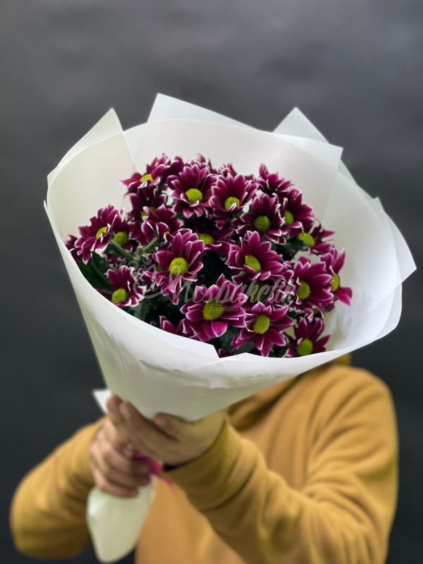 Букет из 5шт кустовых хризантем