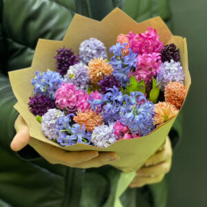 Букет из 25 микс гиацинт