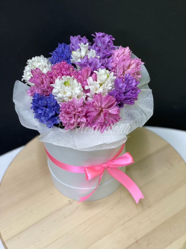 25 шт гиацинт в коробке