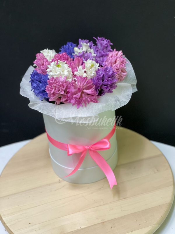 25 шт гиацинт в коробке