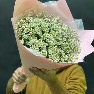 Букет из 25 ромашек