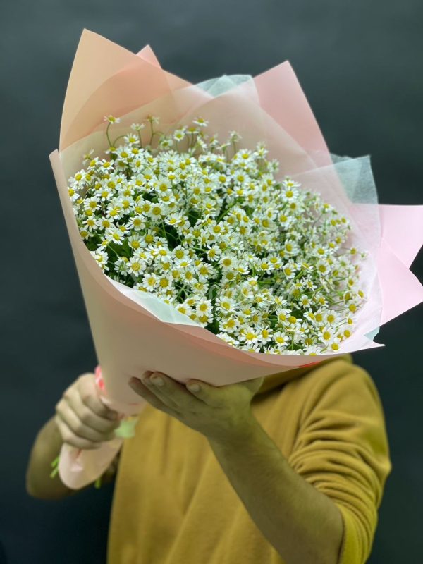 Букет из 25 ромашек