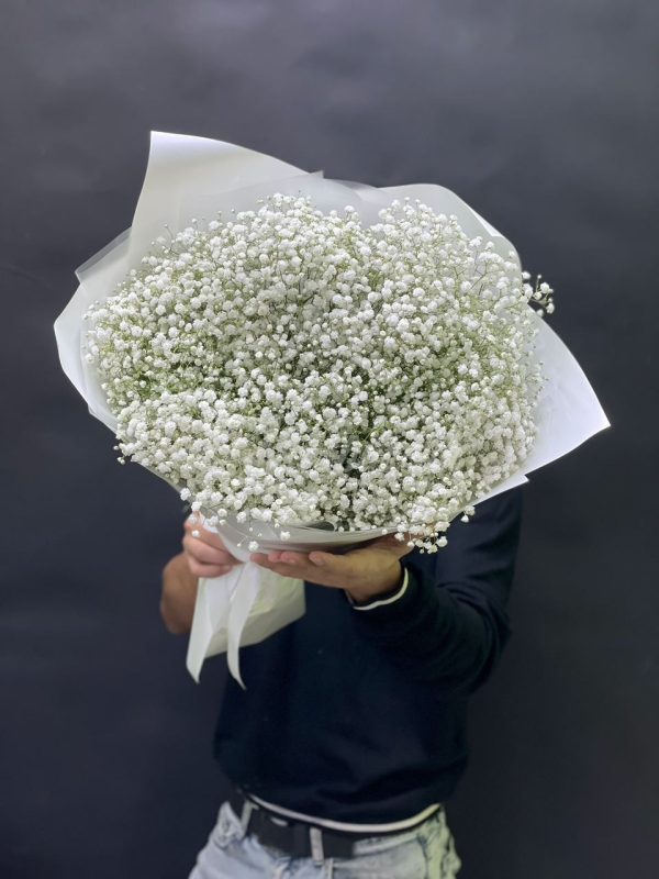 Букет из 25 белых гипсофил