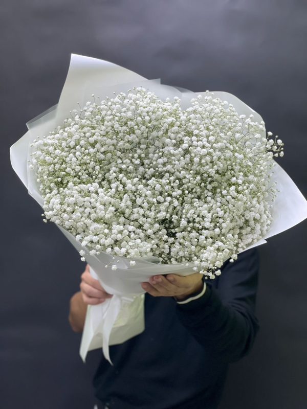 Букет из 25 белых гипсофил