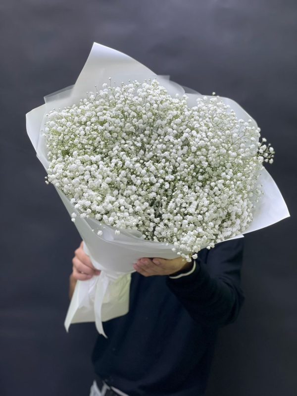 Букет из 25 белых гипсофил