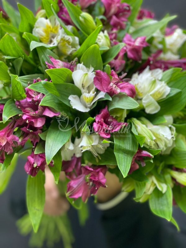 Букет из 19 альстромерии