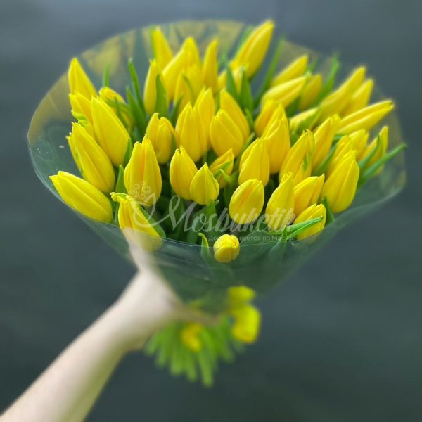 Букет из 49 жёлтых тюльпанов
