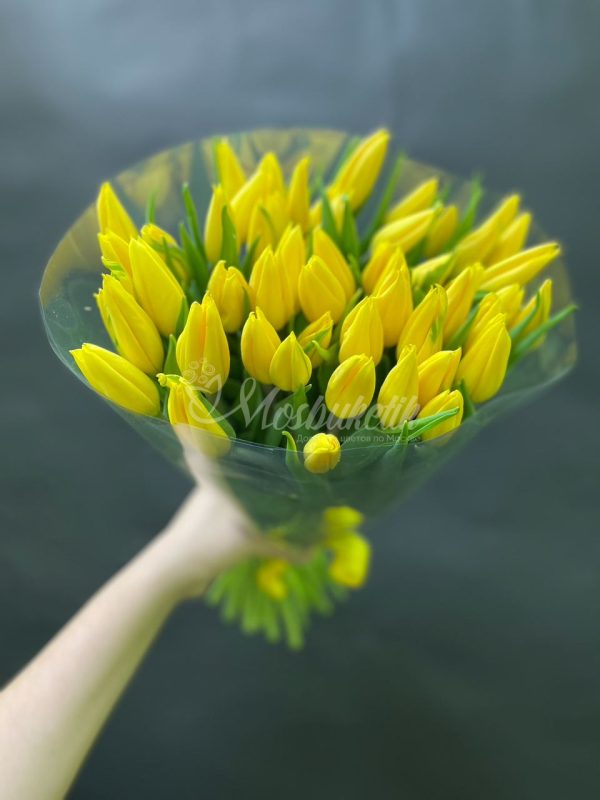 Букет из 49 жёлтых тюльпанов