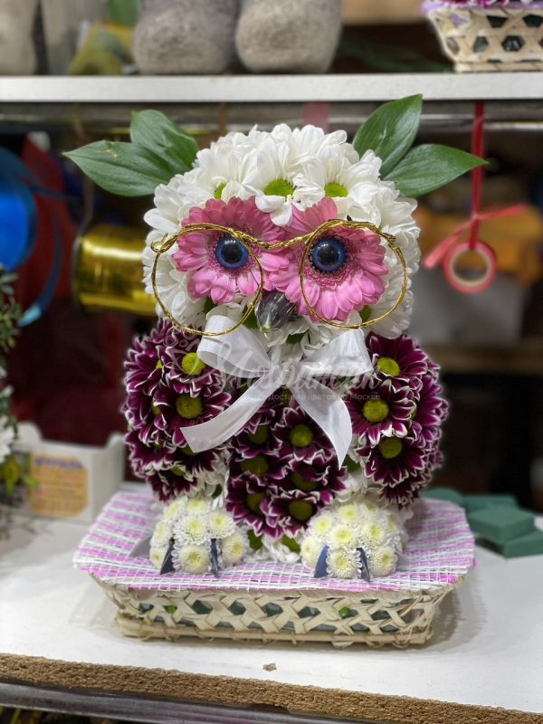 Игрушка из живых цветов "Сова в очках"