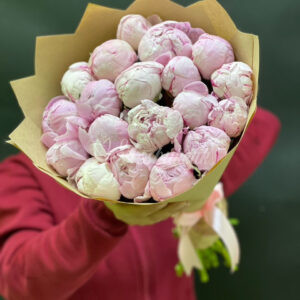 Букет из 19 пион