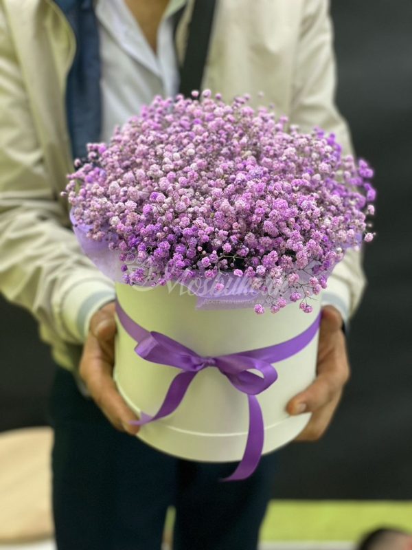 Букет из 10шт гипсофил в коробке