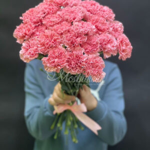 Букет из 23шт гвоздик