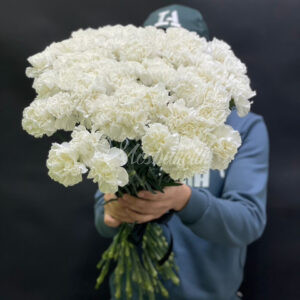 Похоронная гвоздика 24шт