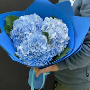 Букет из 3шт гортензии