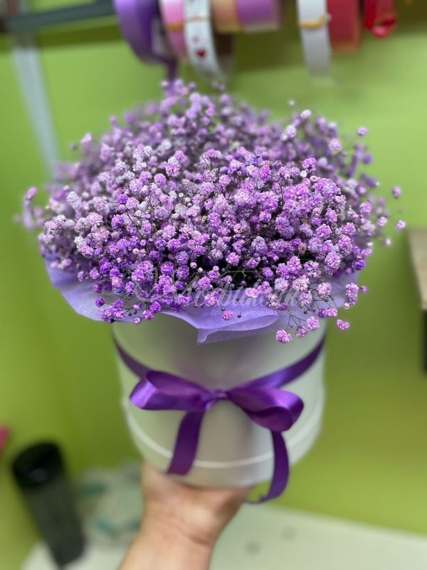 Букет из 10шт гипсофил в коробке
