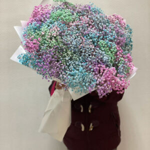 Букет из 25шт гипсофил