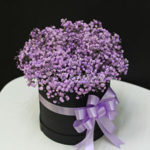 Букет из 9шт гипсофил в коробке