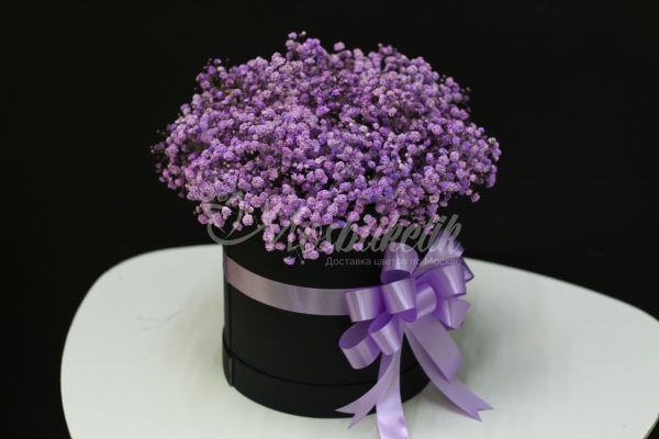 Букет из 9шт гипсофил в коробке