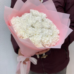 Букет из 23шт гвоздики