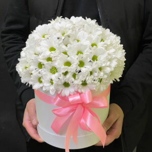 11 белых кустовых хризантем в коробке