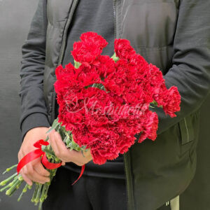 Букет из 25 красных гвоздик в ленте